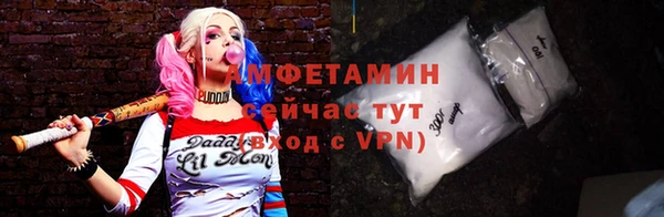 гашик Ельня