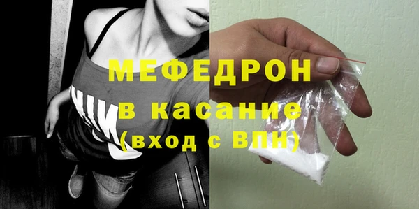 гашик Ельня