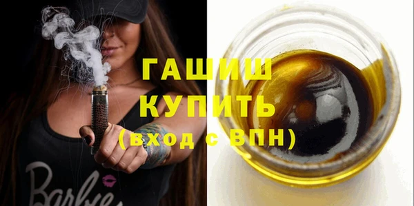 гашик Ельня