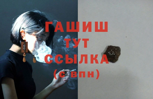гашик Ельня