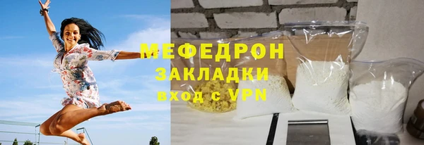 гашик Ельня