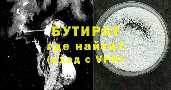 гашик Ельня