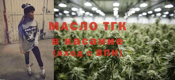гашик Ельня