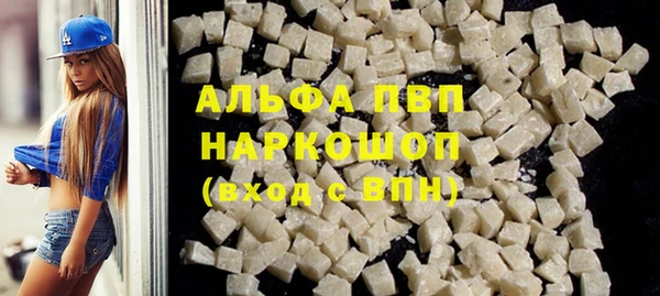 гашик Ельня
