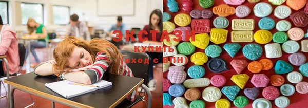 гашик Ельня