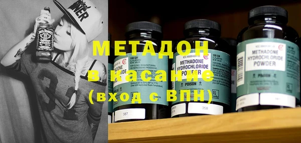 гашик Ельня