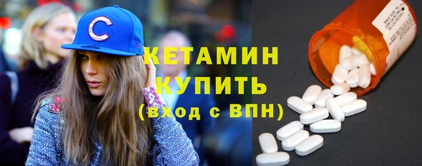 гашик Ельня