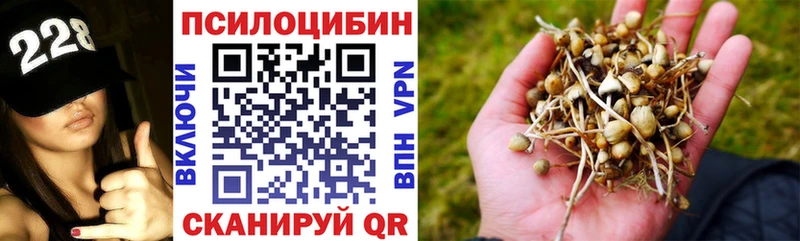 Псилоцибиновые грибы мицелий  Купить где  Инсар 